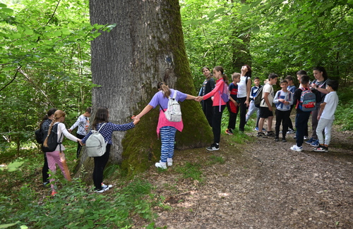 MOL România și Fundația pentru Parteneriat au deschis înscrierile pentru programul Spații Verzi și oferă finanțare în valoare de 850.000 de lei