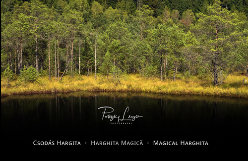 Magical Harghita - Book Launch