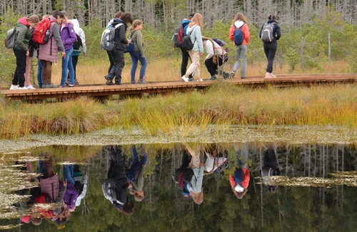 Rezultatele evaluării cererilor de finanțare - Programul Spații Verzi 