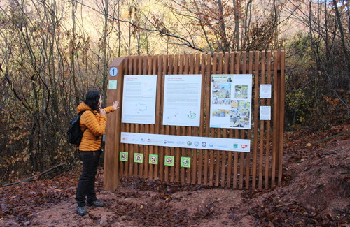 MOL România și Fundația pentru Parteneriat lansează cea de-a 20-a ediție a programului Spații Verzi și asigură finanțări în valoare de 850.000 de lei