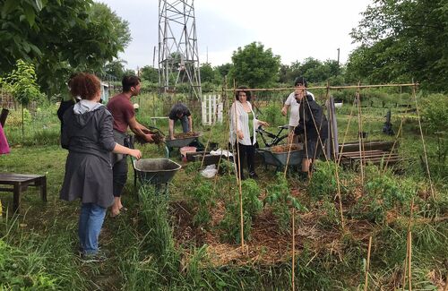 MOL România și Fundația pentru Parteneriat lansează o nouă ediție a programului Spații Verzi